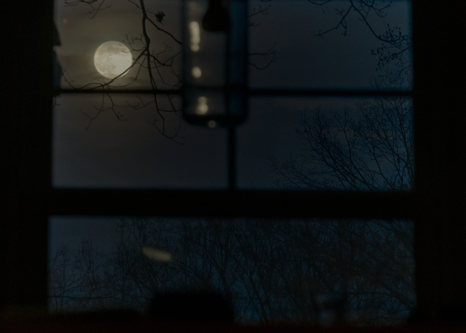 the moon shining through bare branches with a dark glow that silhouettes the tree line